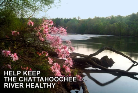Chattahoochee River: Critical Water Supply or Gift to Developers?