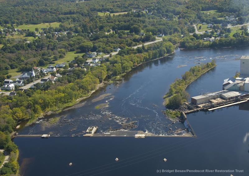 The Penobscot River Restoration Project The Cleanest Line