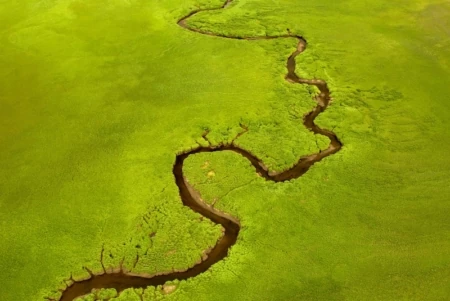 &#8220;The Sacred Headwaters:&#8221; A Film About a River in Trouble