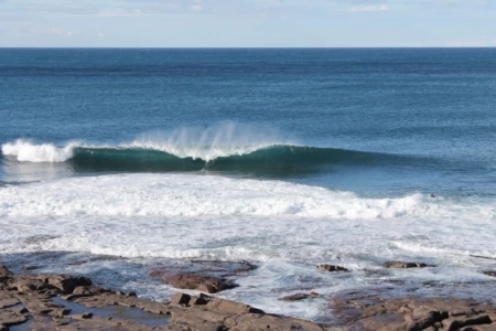 Wwoofing and Waves in New South Wales