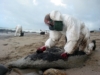 A Surfer Remembers the Prestige Oil Spill in Spain
