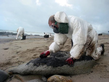 A Surfer Remembers the Prestige Oil Spill in Spain