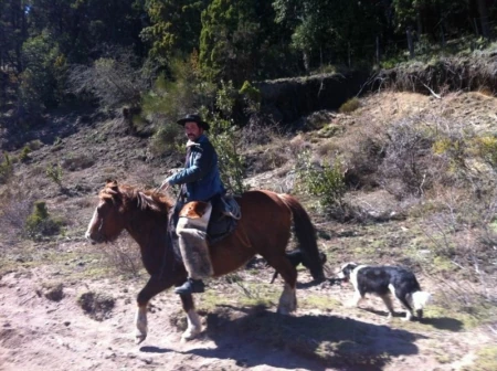 Wooly in Patagonia