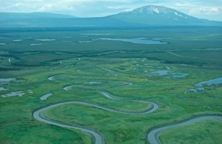 Chuitna Mine Is Endangering Salmon