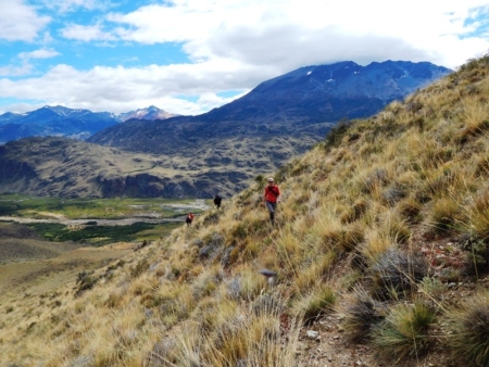 Building Patagonia National Park: A Decade-Long Partnership with Patagonia, Inc.