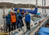 Greenland Vertical Sailing 2014, Part 1: Warming Up in Uummannaq