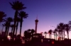 Pondering Gretel Ehrlich in Las Vegas