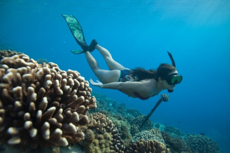 “Ten Tuamotus Days:” A Short Film