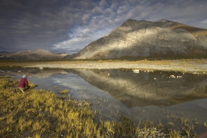 I Heart The Arctic National Wildlife Refuge, Here’s Why You Should Too