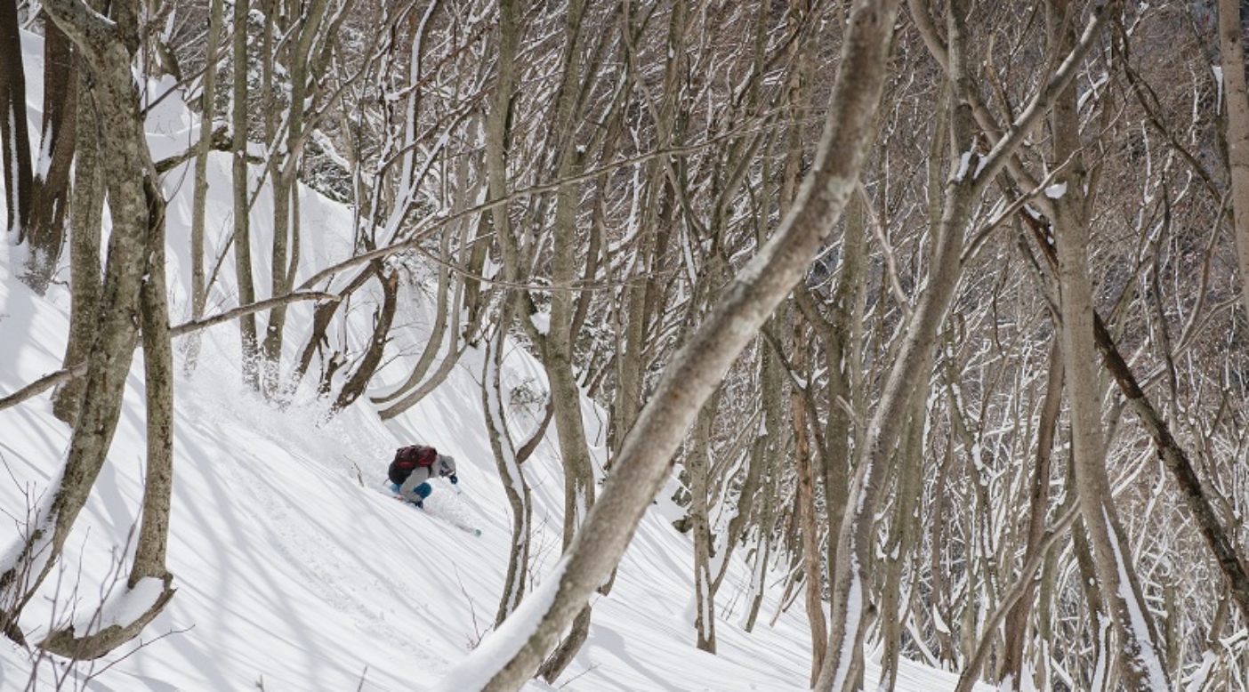 Photo: Garrett Grove