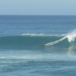 Photo: Pedro Bicudo
