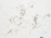 What Do We Know About Tiny Plastic Fibers in the Ocean?