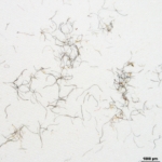 An Update on Microfiber Pollution