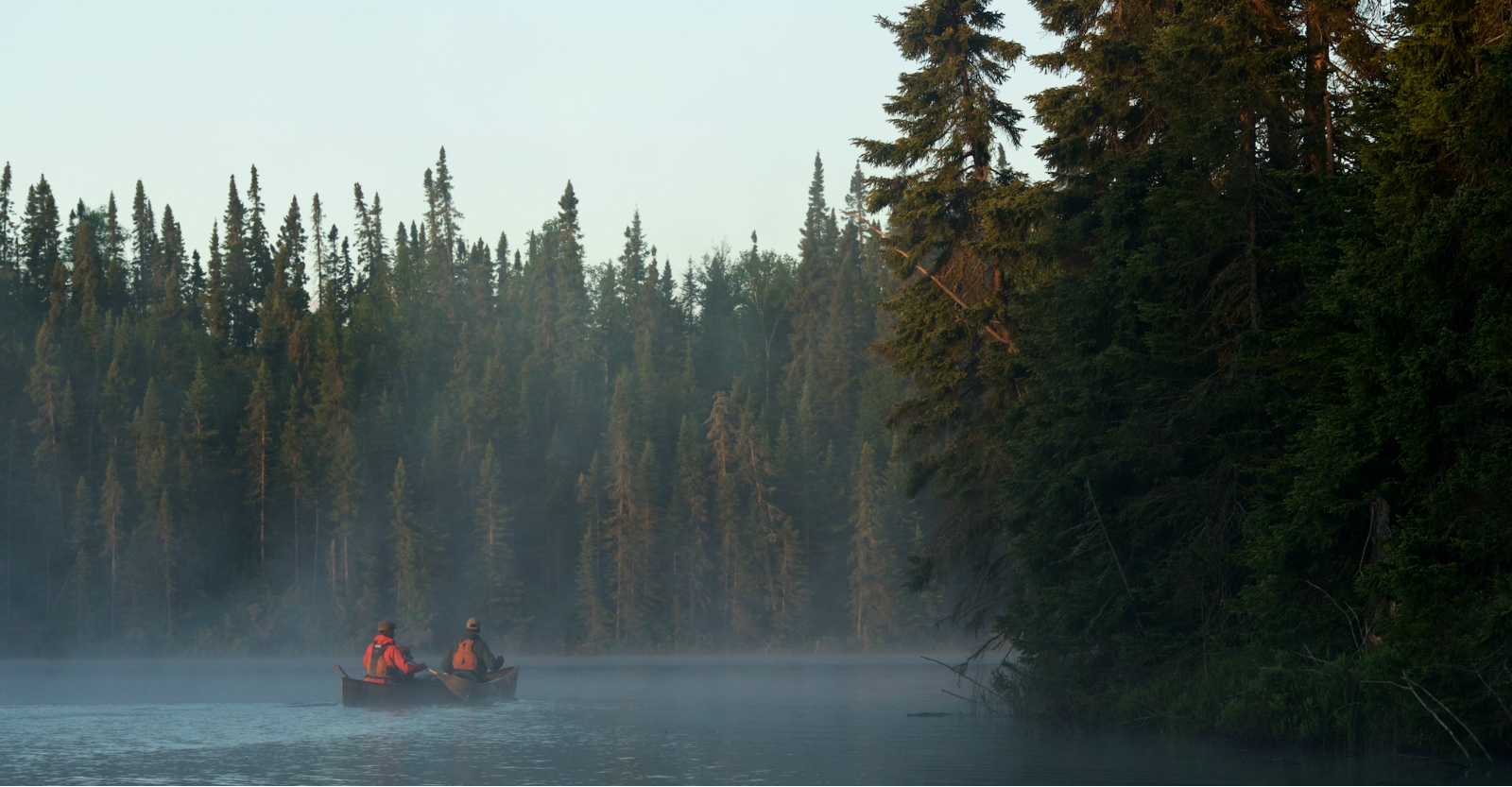 save the boundary waters shirt patagonia