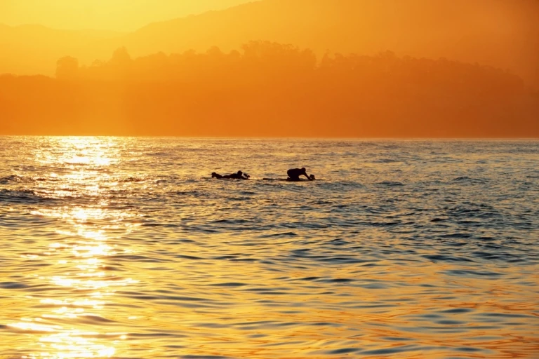 Epileptic Opportunity: Paddling Towards a Cure