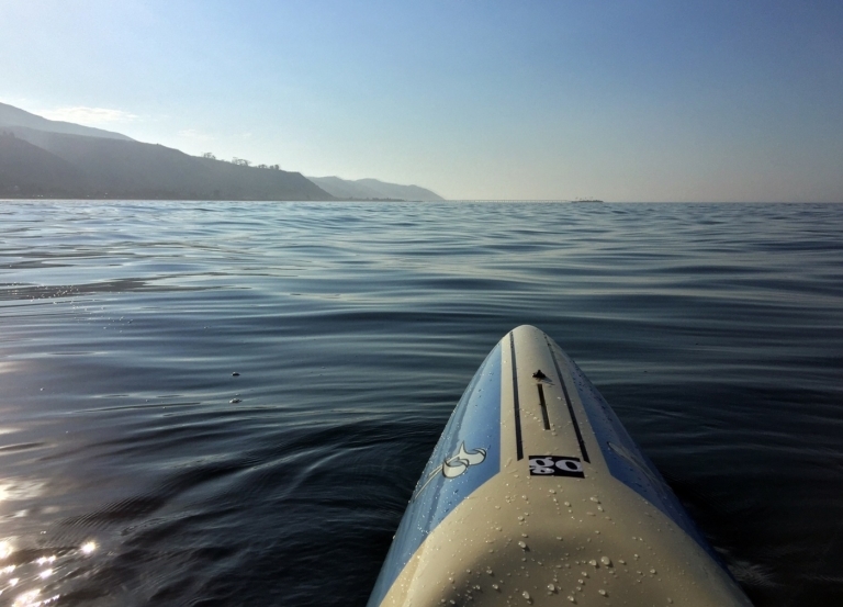 Epileptic Opportunity: Paddling Towards a Cure