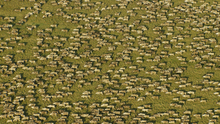 Photo: Florian Schulz