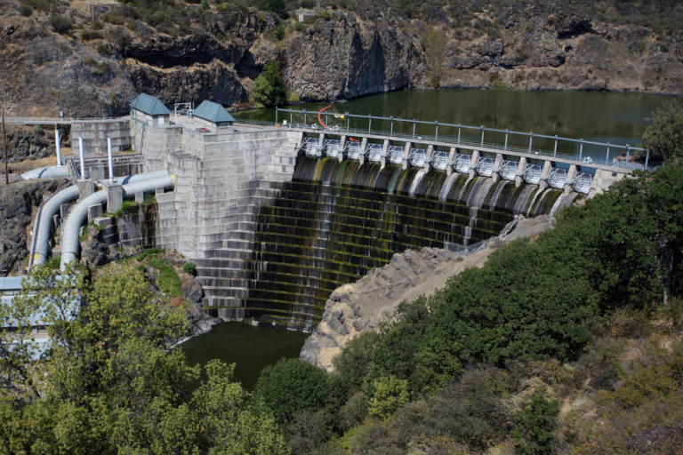 Doubling Down on the Broken Promise of Fish Hatcheries
