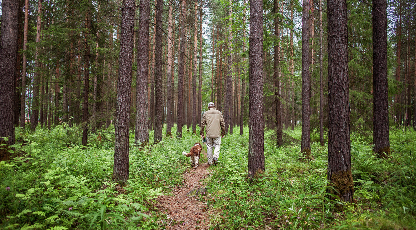 Photo: Håkan Stenlund