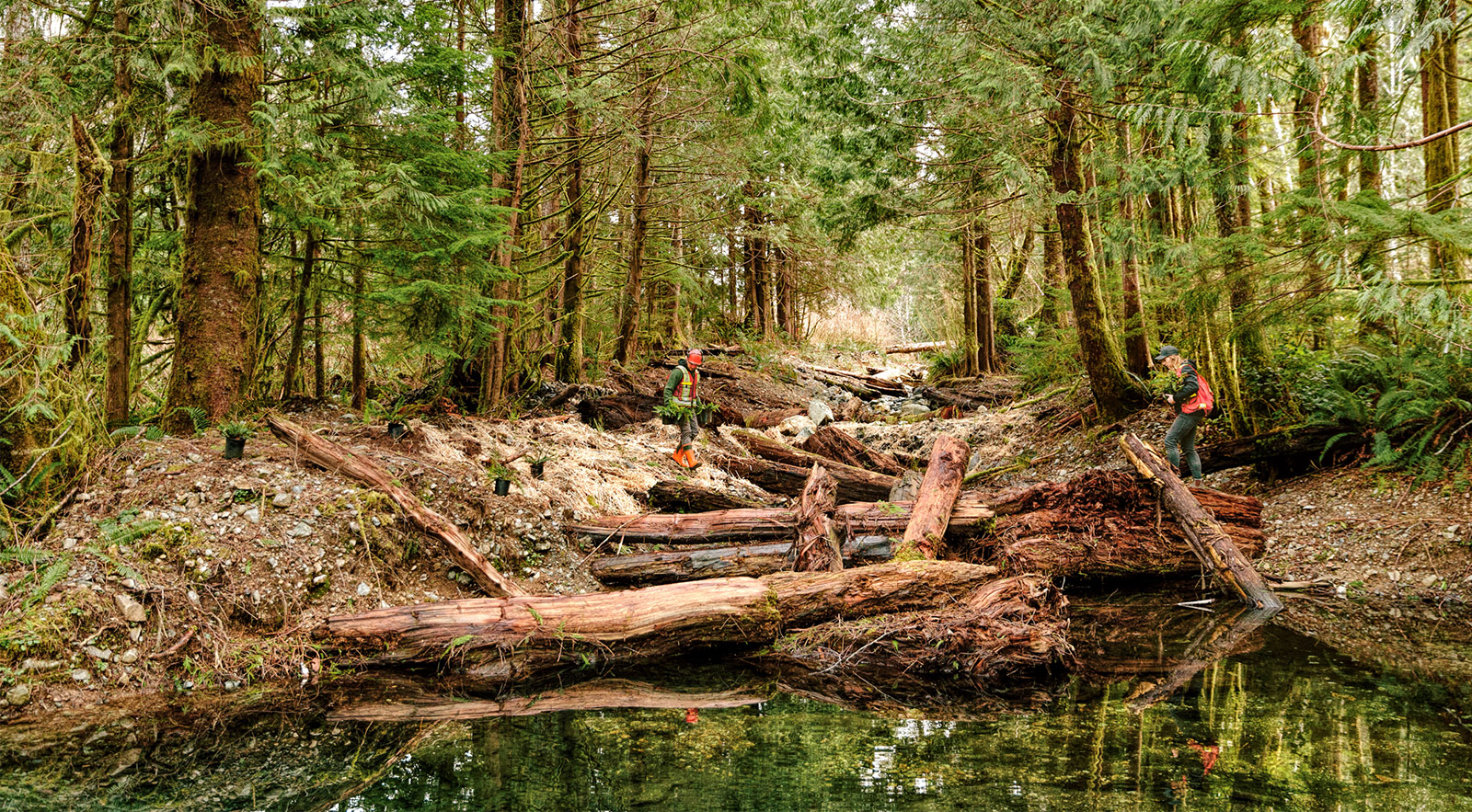 skade Himlen kim Bringing Back the Light with Redd Fish Restoration - Patagonia