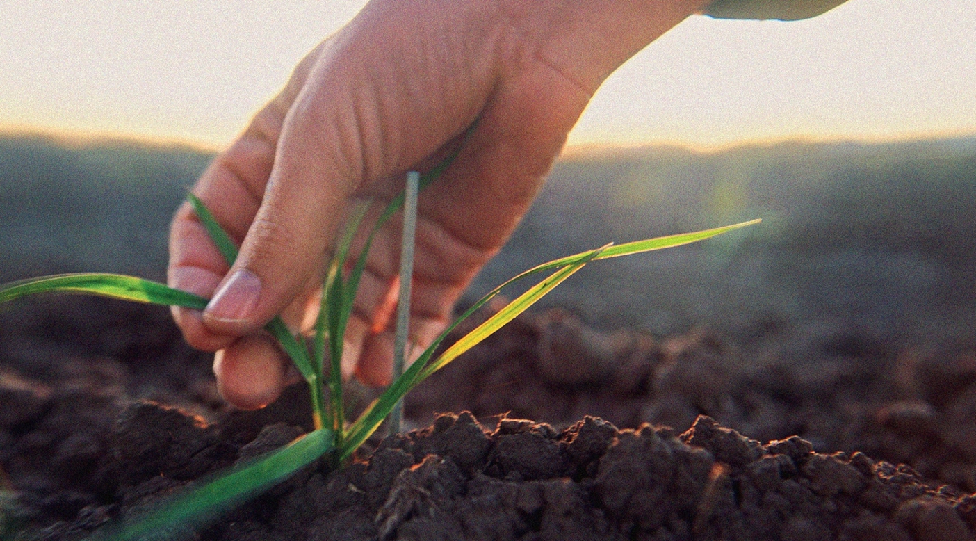 Organic Standards Stem from the Soil