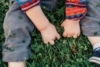 What Can Rich Sensory Experiences Teach Children?