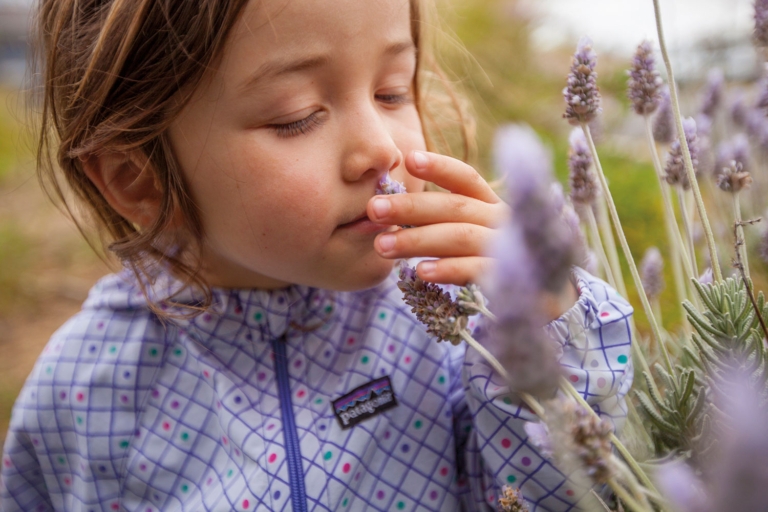 What Can Rich Sensory Experiences Teach Children?
