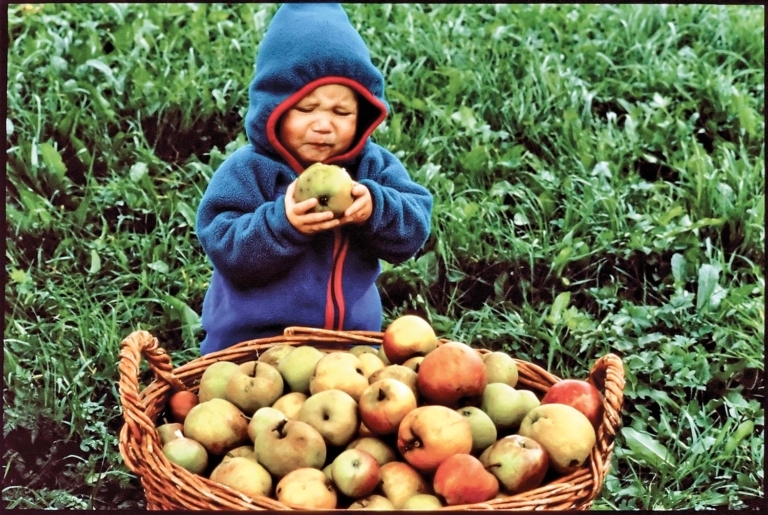 What Can Rich Sensory Experiences Teach Children?