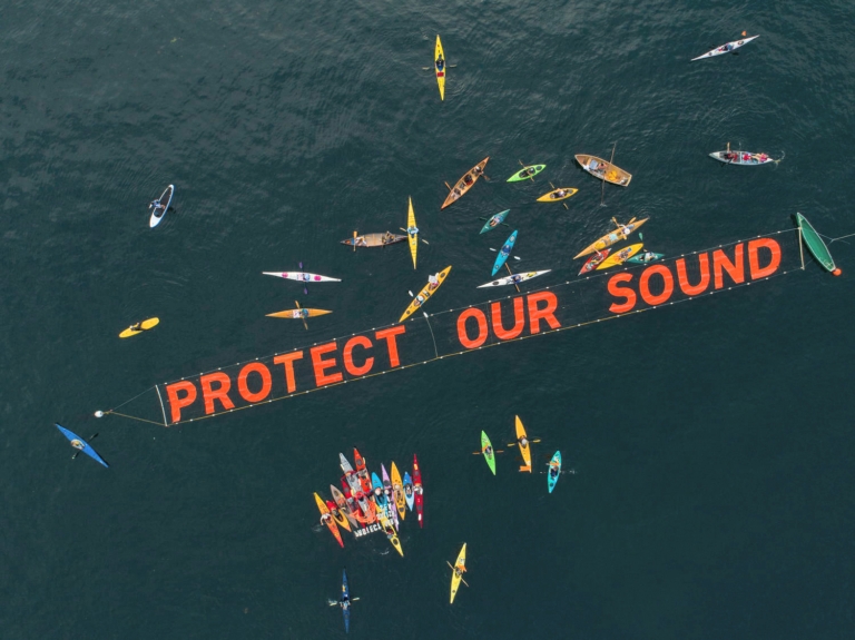 Atlantic Salmon Net Pens Don't Belong in Puget Sound - Patagonia