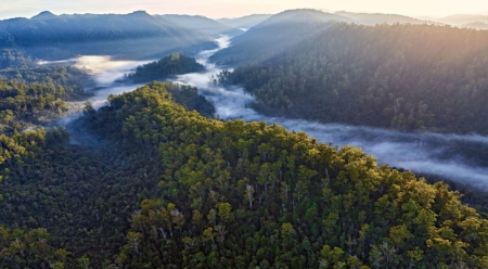 Threatened with development, the Tarkine is a vast wilderness in a remote part of North West Tasmania containing the largest tract of cool temperate rainforest, wild windswept beaches, extensive buttongrass plains and pristine wild rivers in Australia. Bob Brown and his Foundation has been campaigning for years to protect this unique landscape. Photo: Rob Blakers (copyright 2016 Patagonia Inc.)