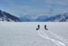 Crossing a Glacier in Wrangell–St. Elias National Park on Skis
