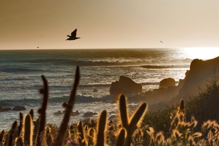 Todos Santos was dedicated as a World Surfing Reserve in 2014. Local surfers, with the support of visiting volunteers, have been putting in hard work to keep its coastal environment as intact as possible. Photo: Nikki Brooks