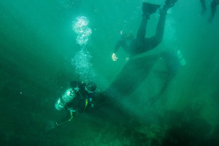 Scuba and free divers remove fiberglass hull panels from the seafloor. Photo: Nikki Brooks