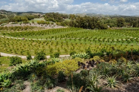 Apricot Lane Farms is a certified organic and biodynamic farm that grows and nourishes a wide variety of fruits, vegetables and animals. Moorpark, California. Photo: Keri Oberly