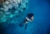 &#8220;The Reef Beneath:&#8221; A Film About Exploring the Great Barrier Reef