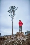 Protección de Patrimonio Mundial para Tarkine