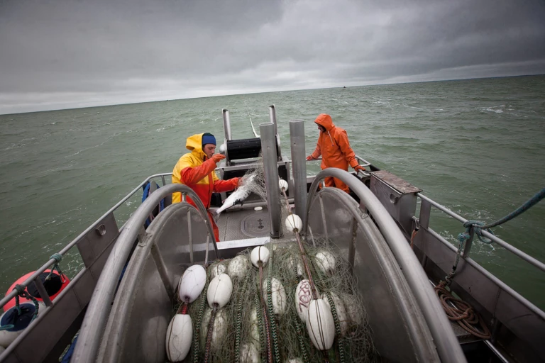 Overseas Highway Fishing Team UPF - Mens Long Sleeve – Saltwater