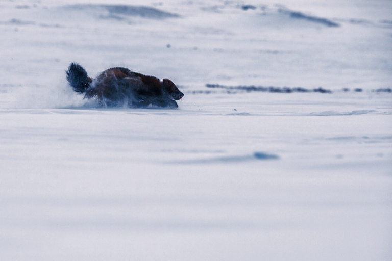Photo: Peter Mather