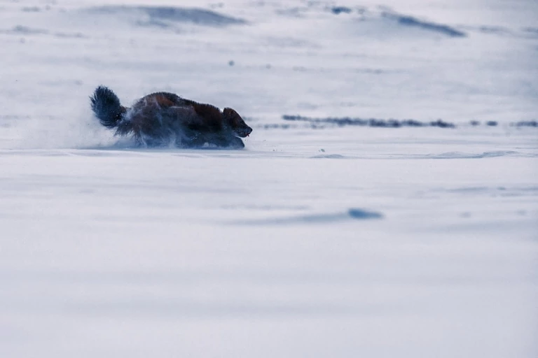 Photo: Peter Mather