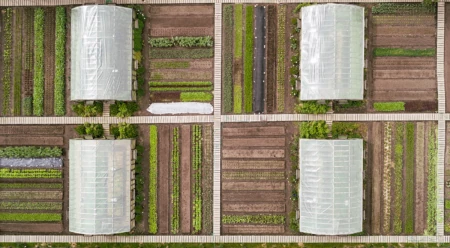 The Garden at the End of the World: Regenerative Agriculture Pioneers in the Chacabuco Valley