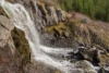 Mud, Sheep, Fish, Trail