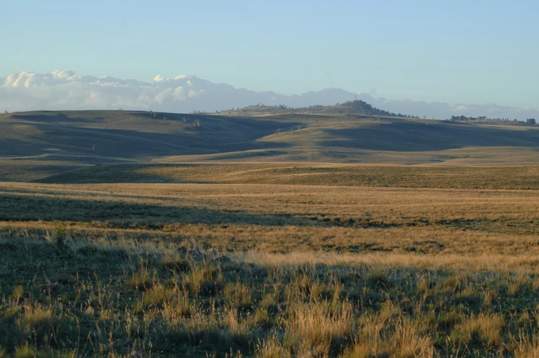 A Blueprint for Cooling the Earth