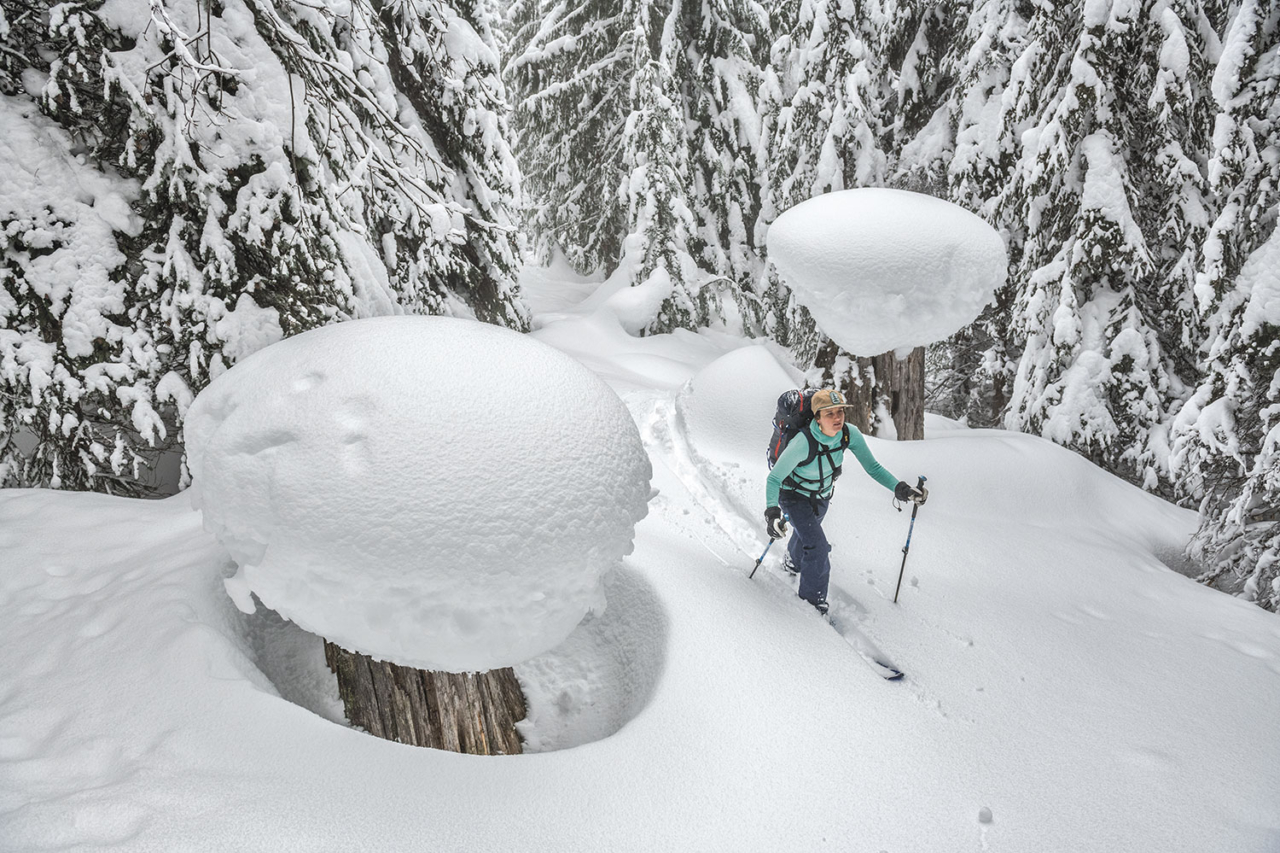 Making her way through a previously logged section of the inland temperate rainforest near Revelstoke, British Columbia, Evans skis among the stumps and new growth. Some old-growth cedars remain, many bearing the marks of angry chain saws. Photo: Garrett Grove