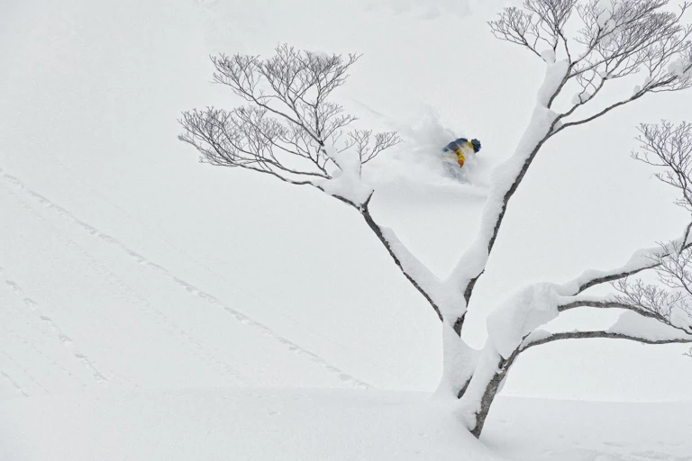 Treeline: The Film - Patagonia Stories