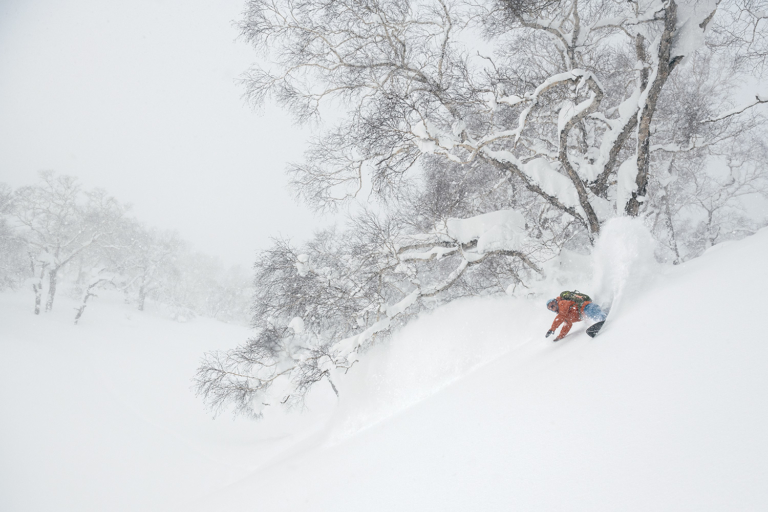 Treeline: The Core