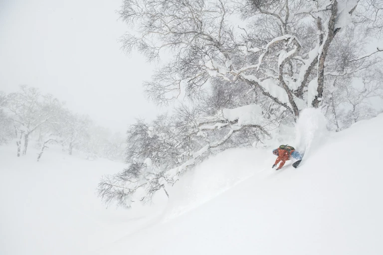 Treeline: The Core