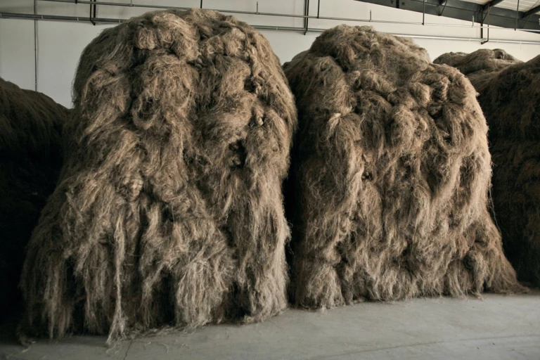 Hemp Is Back: How Some of Ours Is Produced, in Photos