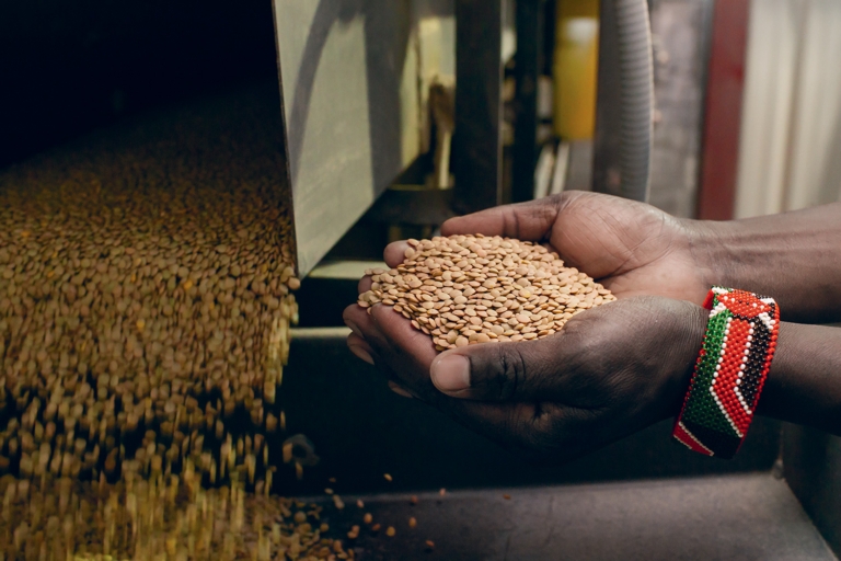 Why Regenerative Organic Agriculture Is All About Farming Down