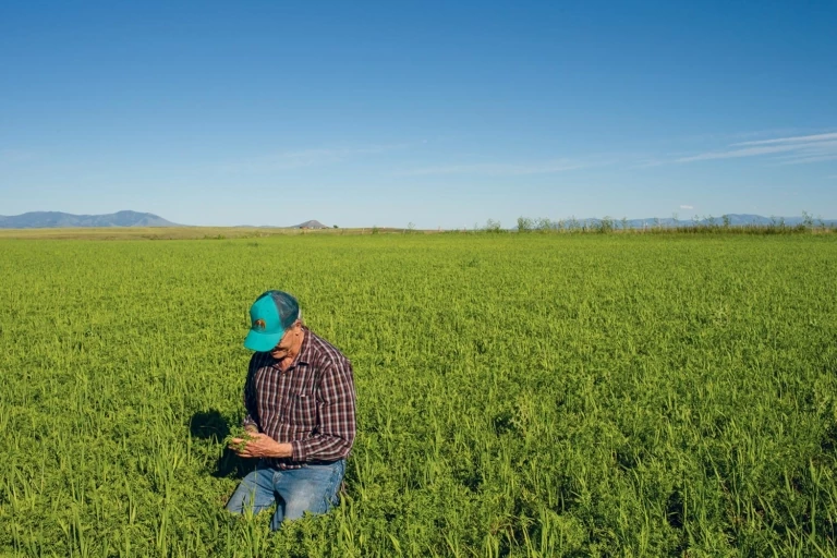 Why Regenerative Organic Agriculture Is All About Farming Down