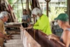 Restoring a Traditional Hawaiian Koa Canoe on O&#8217;ahu